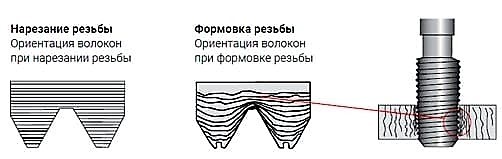 m9nwl7nvi1hc6uxosxs3oojv4vy96fst.jpg m9nwl7nvi1hc6uxosxs3oojv4vy96fst.jpg